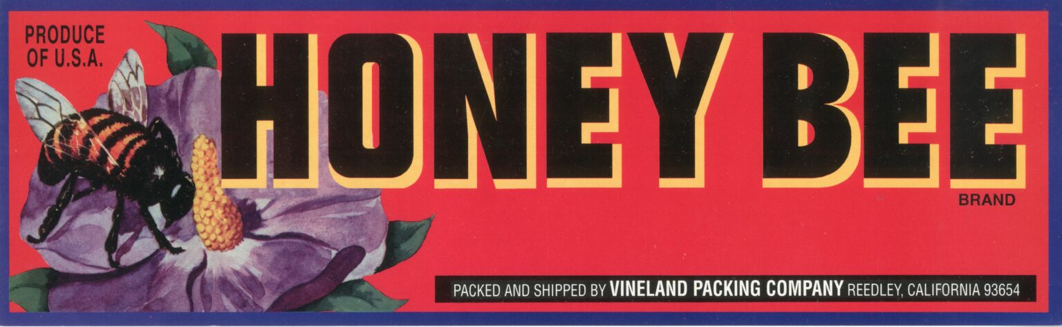 Honey Bee